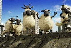 小羊最新爆料视频大全集,揭秘幕后真相，带你走进事件核心