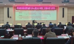 湖南攸县热点爆料案件最新,真相背后，正义何在？